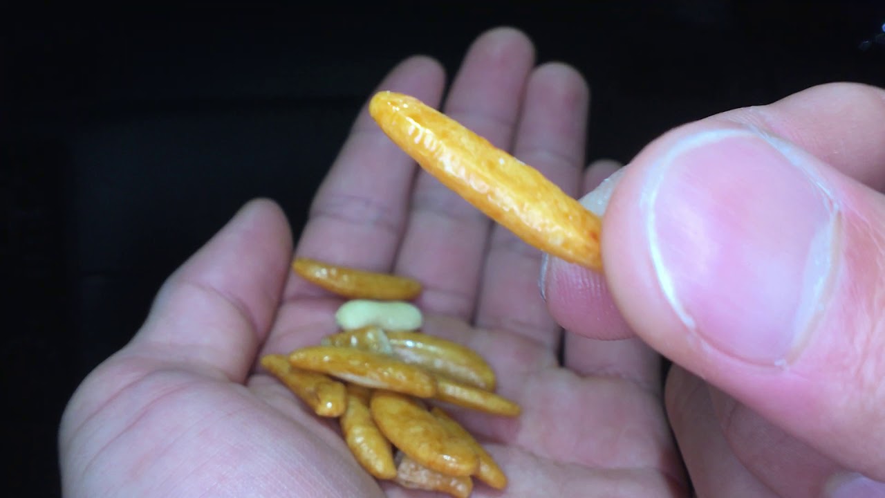 Kaki No Tane Peanuts - Japan Food review Ep.10