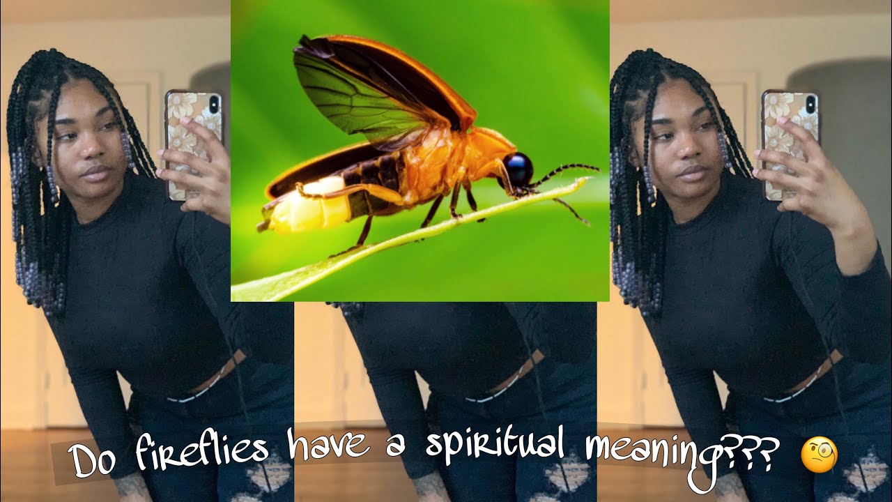 Do fireflies have a spiritual meaning???