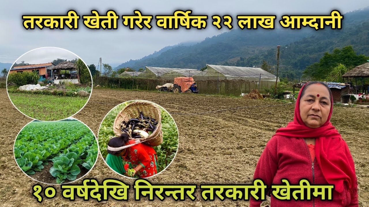तरकारी खेतीबाट वार्षिक २२ लाख आम्दानी| १० वर्षदेखि निरन्तर कृषि पेशामा|