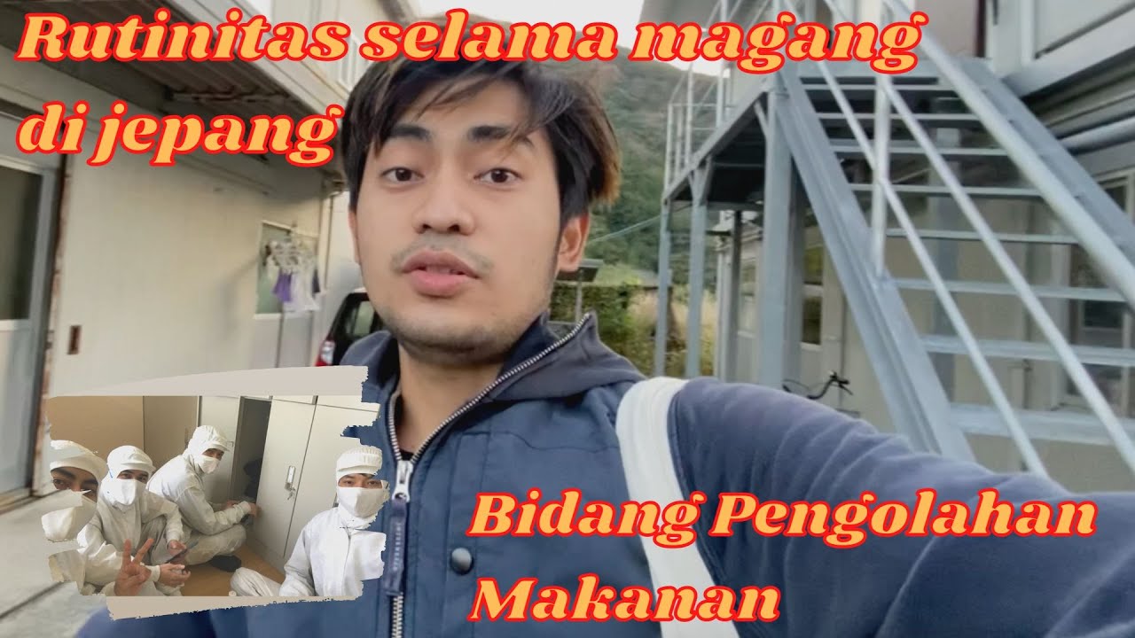 kegiatan rutin magang di jepang || Pengolahan makanan (ikan salmon)