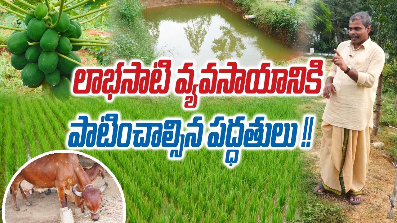 Best Agriculture Practices for Sustainable Income || Rytunestham Interview With Shyam Sunder Reddy