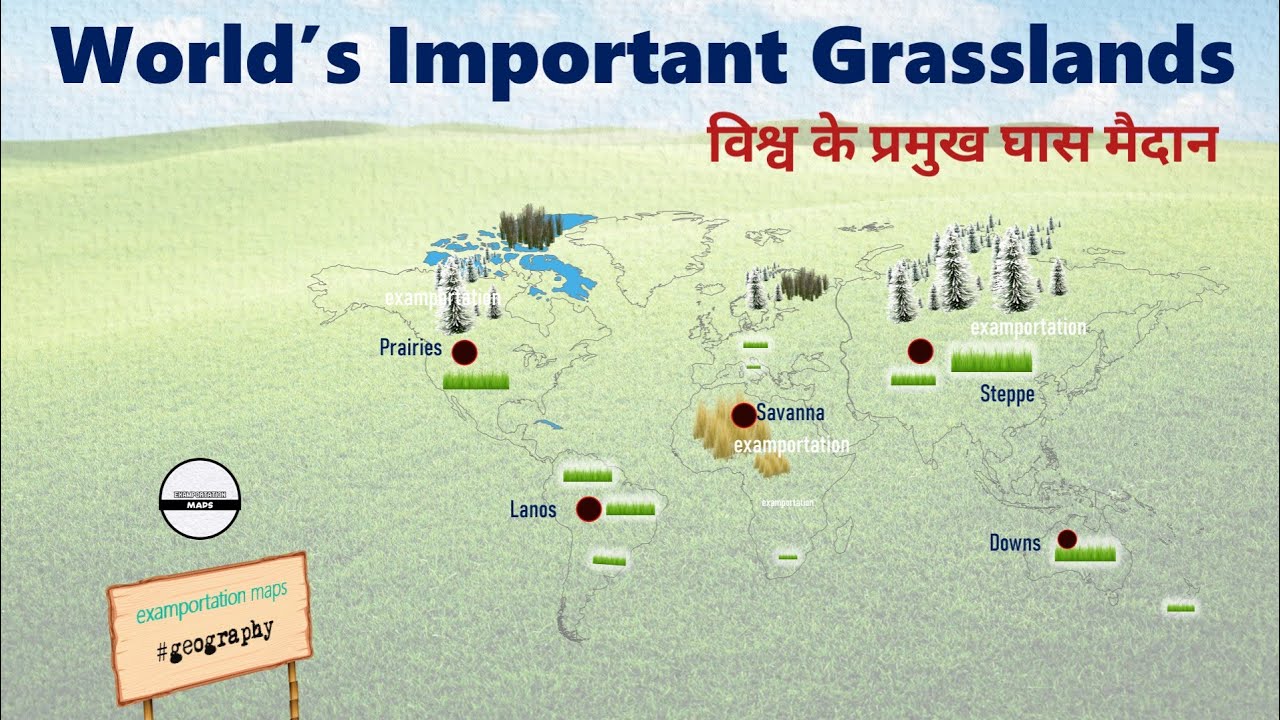 World's Important Grasslands | Grasslands of the World | Geography | World Map | UPSC | SSC