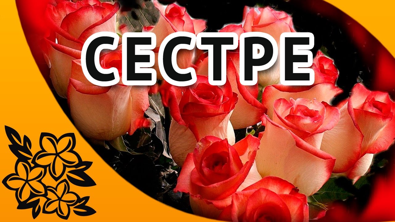 С днем рождения сестренка! Красивое поздравление сестре