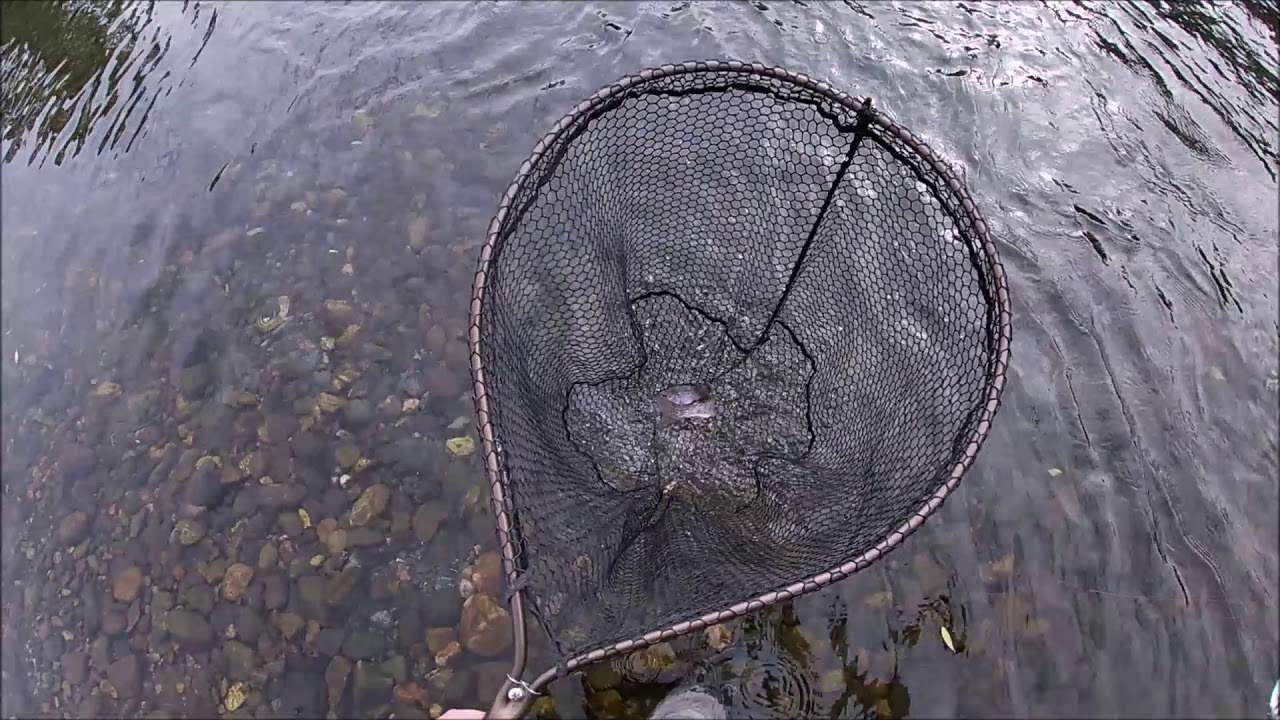 Pesca al Hilo VS Linea Ultralight Nymph