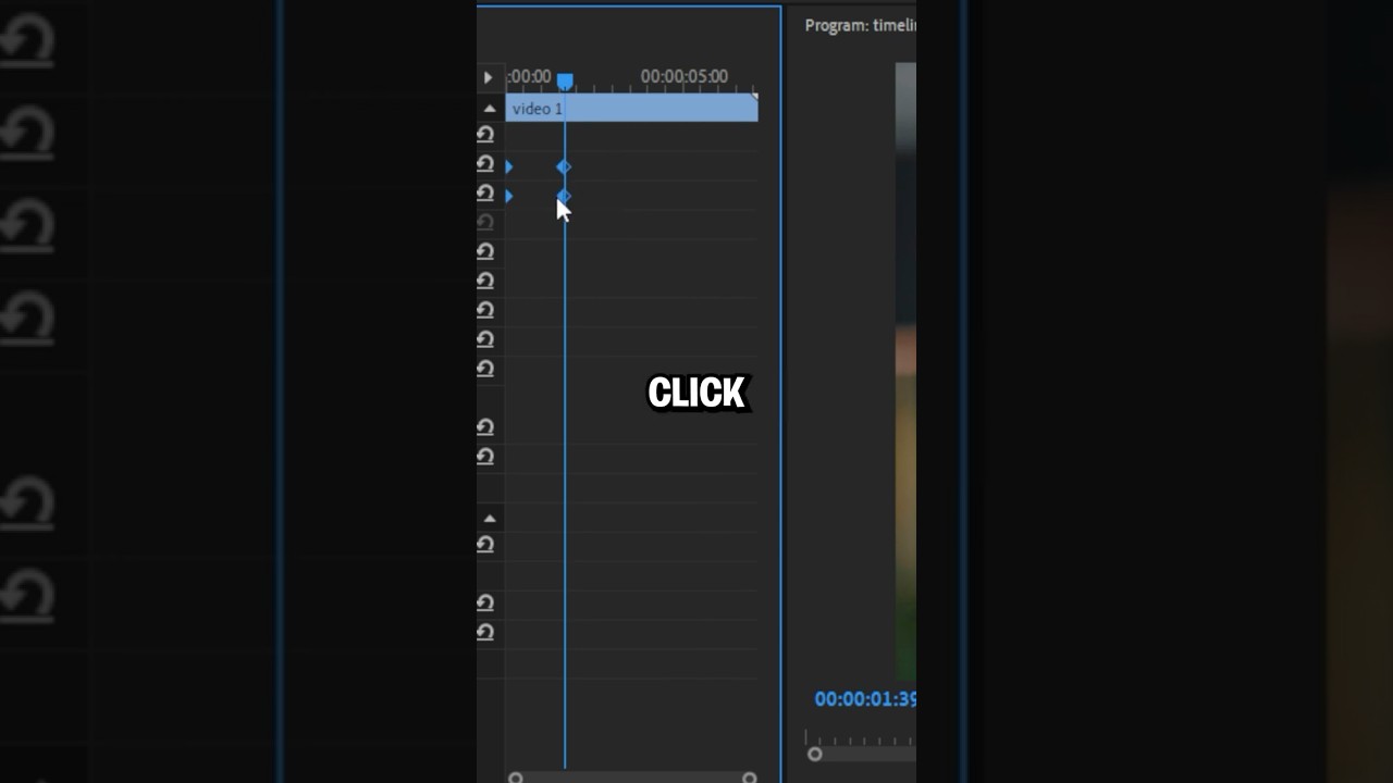 How To Zoom In Premiere pro
