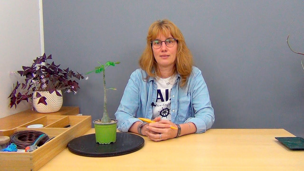 Формирование адениума (ч.1).