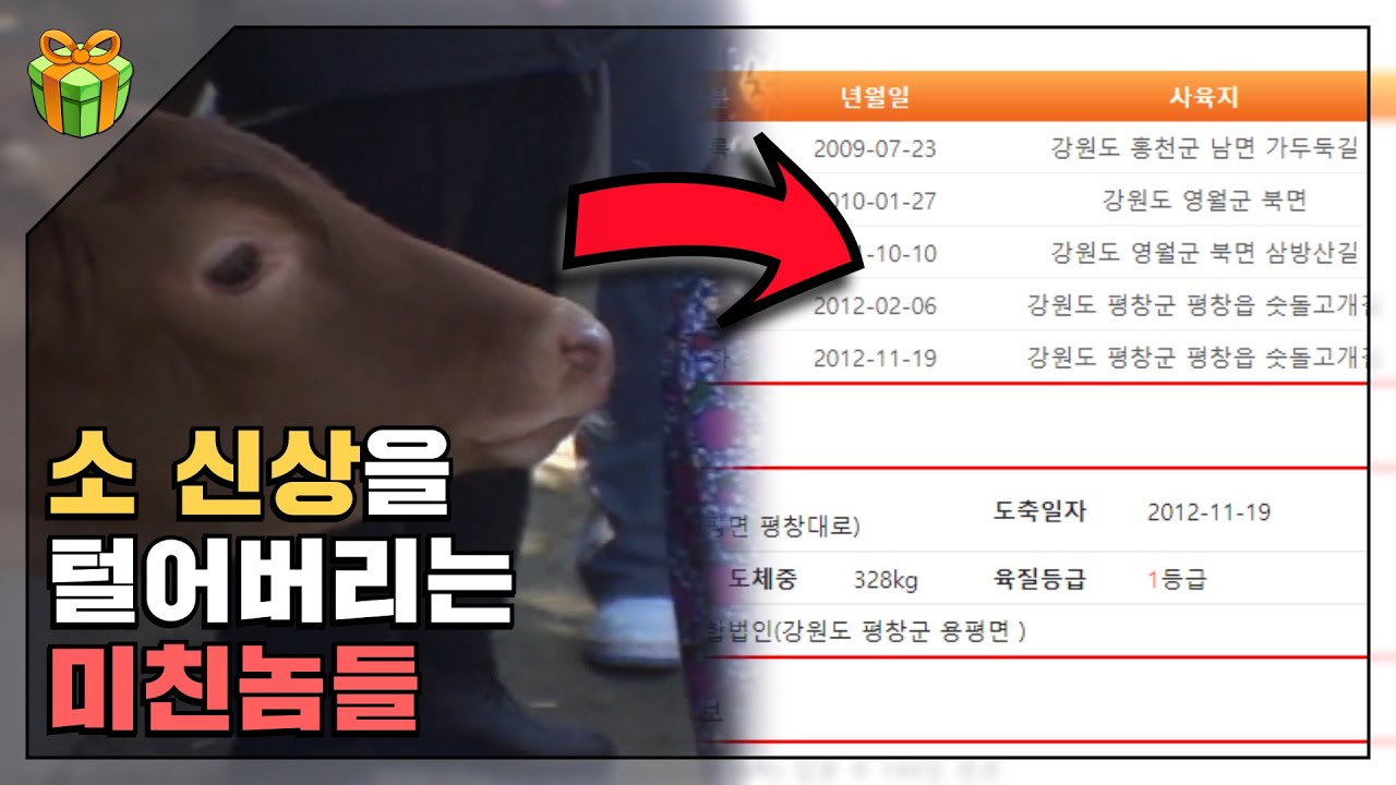 네티즌 수사대 : 인터넷을 떠도는 명탐정들