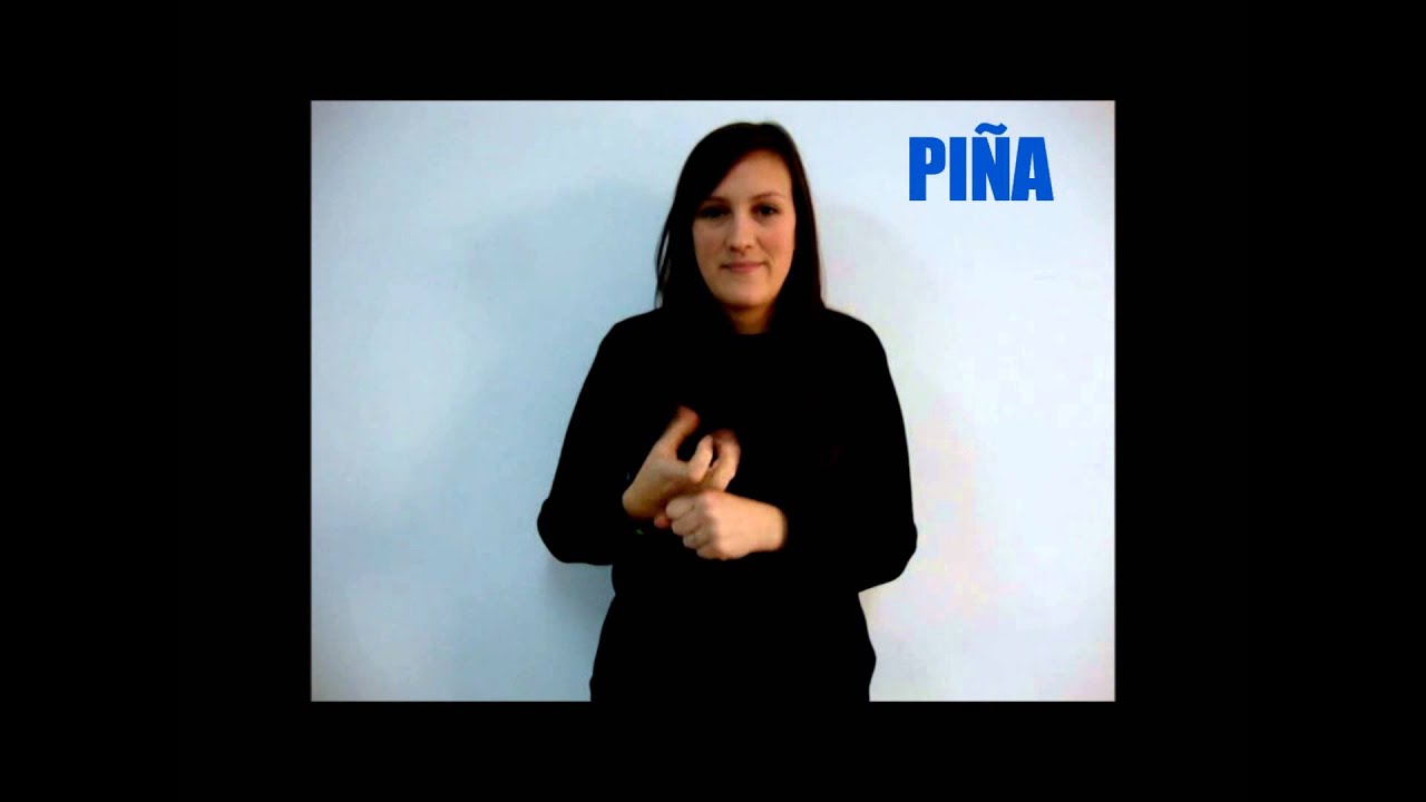 ALIMENTOS Lengua Signos Española CEE Vilagarcía de Arousa