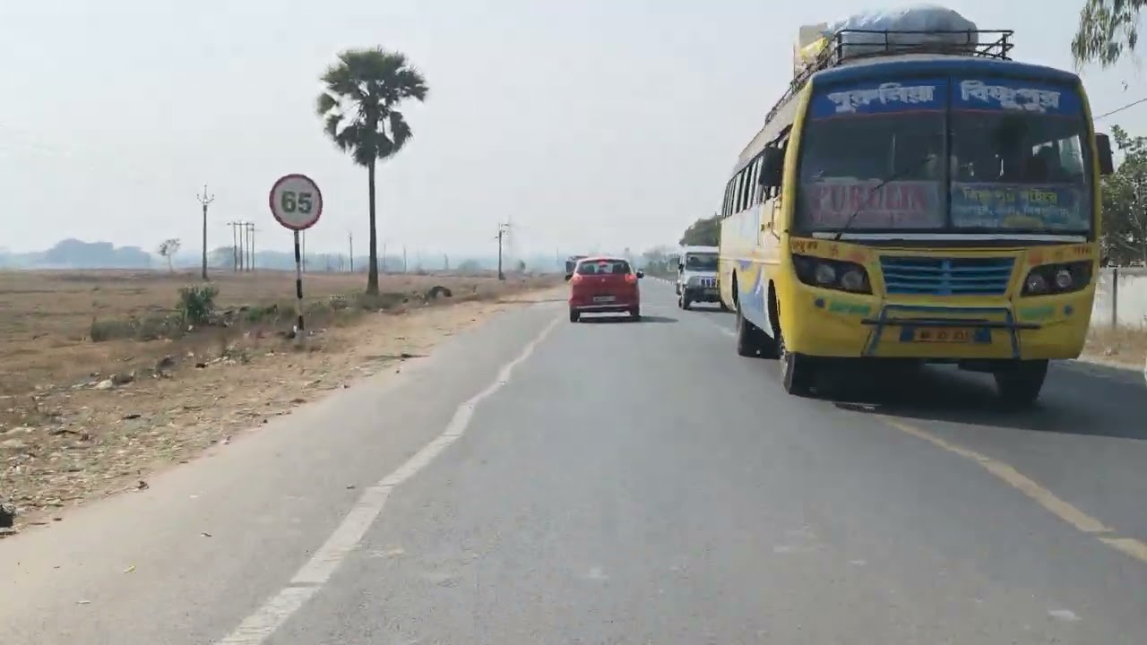 Rasta
