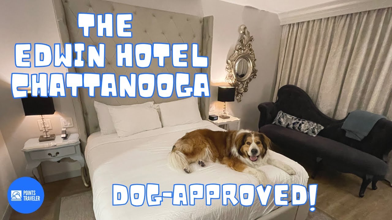 The Edwin Hotel Chattanooga King Guest Room Tour