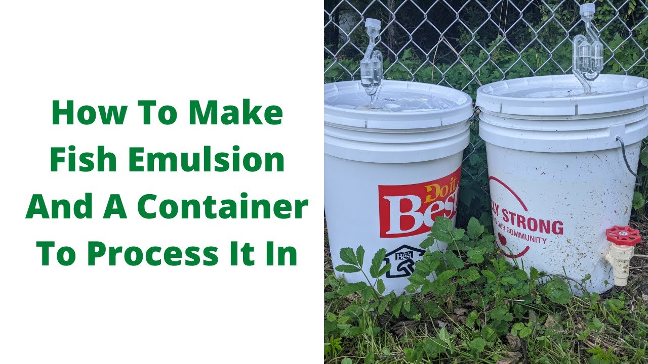 How To Make Fish Emulsion And A Container To Process It In.