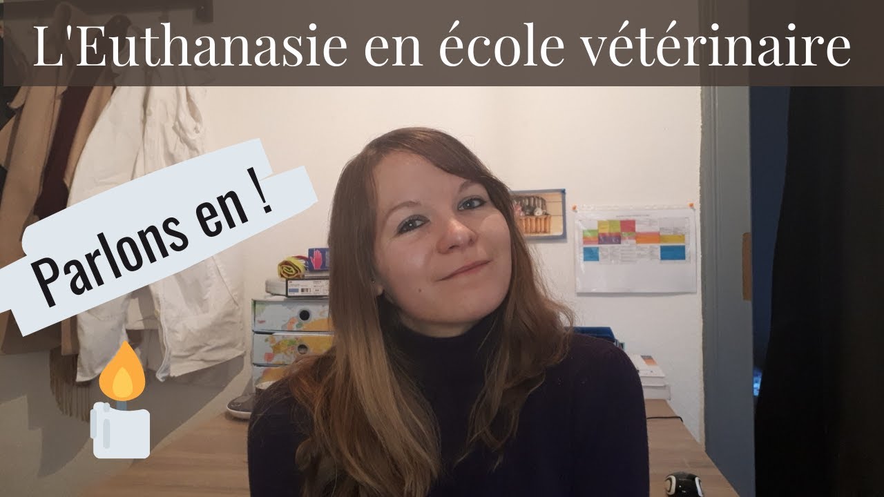 COMMENT L'EUTHANASIE EST ENSEIGNEE AUX VETERINAIRES