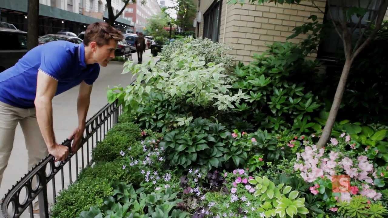 A front yard in Manhattan - Urban Gardener video