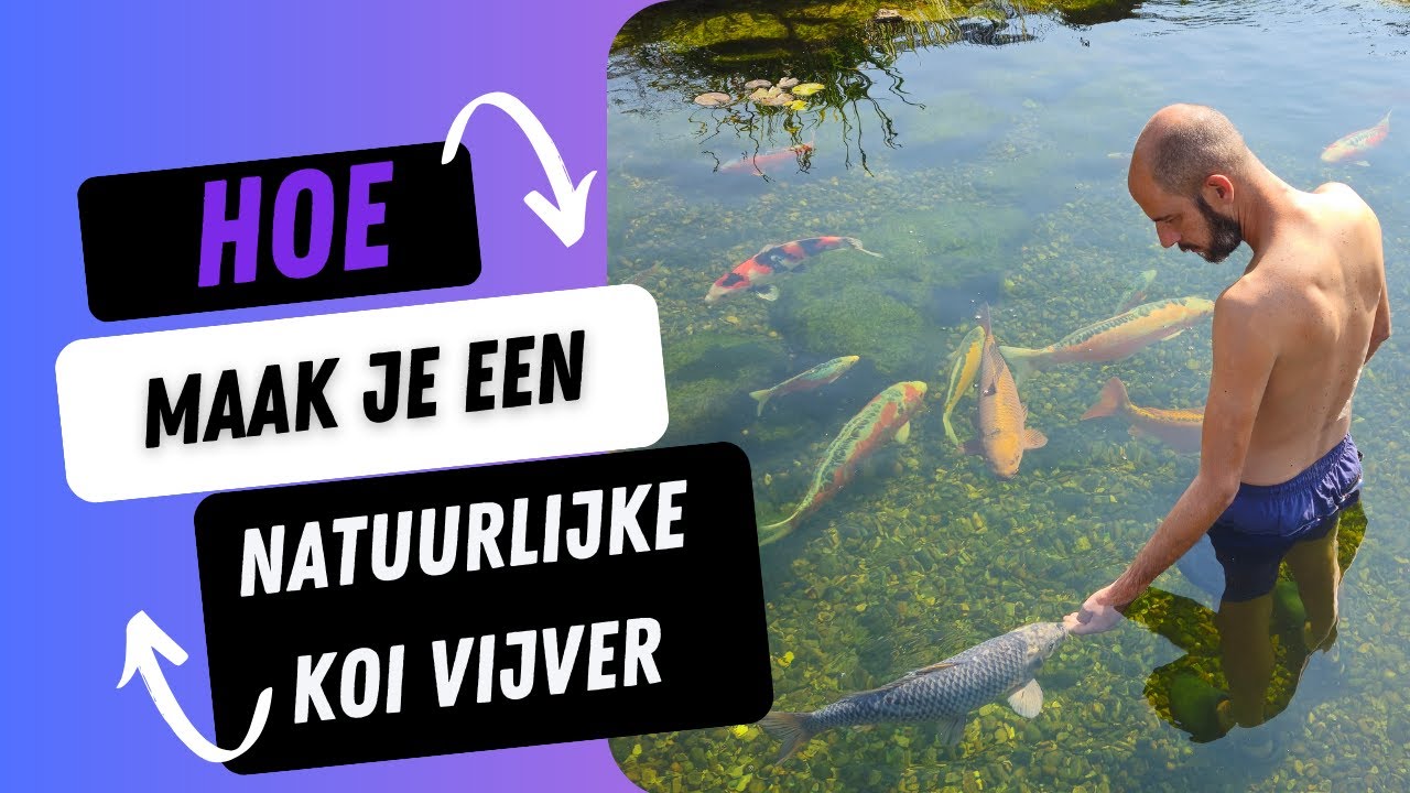 Hoe maak je een natuurlijke koi vijver met plantenfilter