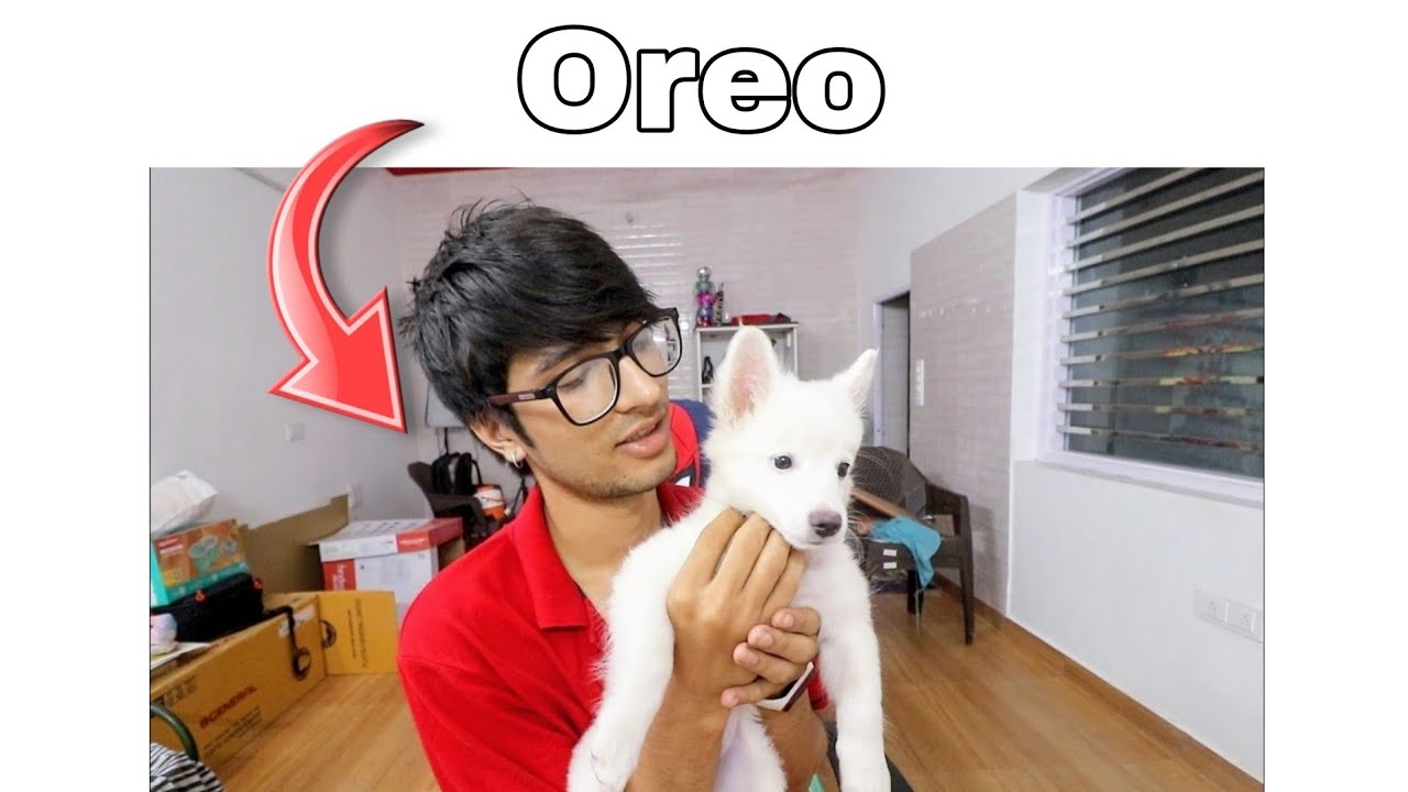Sourav Joshi Wala Oreo Mere Ghar 😍