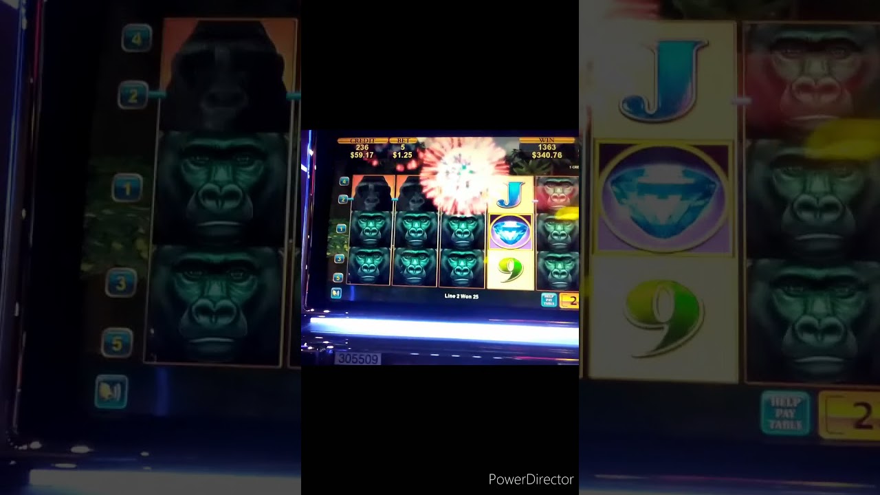#Shorts HUGE 1st SPIN GORILLAS HIT!! KONAMI AFRICAN DIAMOND 25c SLOT * 610X WIN