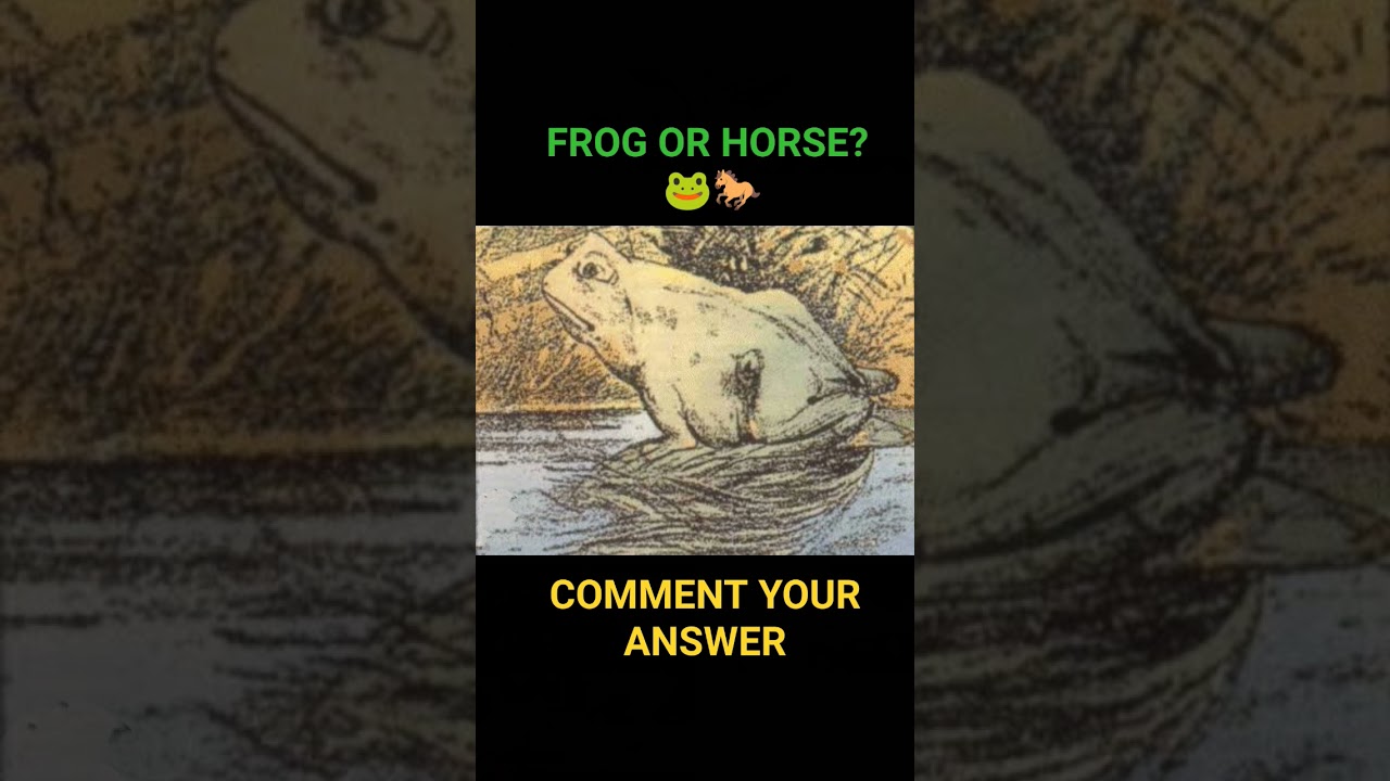 FROG OR HORSE? WHAT DO YOU SEE FIRST? #illusion #shorts