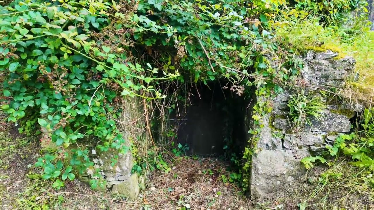 Crypt of Bones