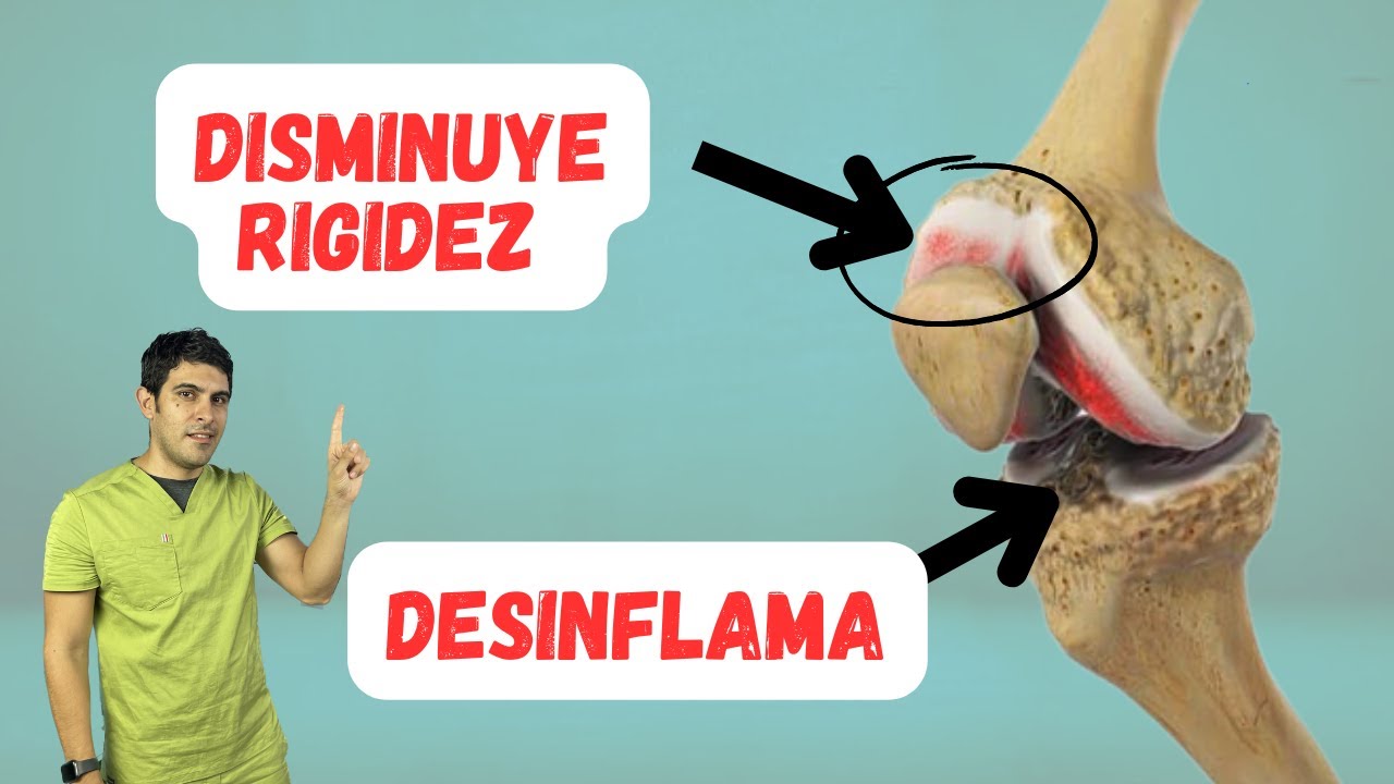 10 MEJORES EJERCICIOS  para el DESGASTE EN RODILLAS