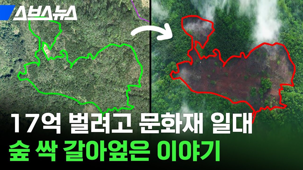 너만 없으면 땅값이 뛰는데... 나무 만 그루가 무참히 잘려 나간 곶자왈의 비극 / 스브스뉴스