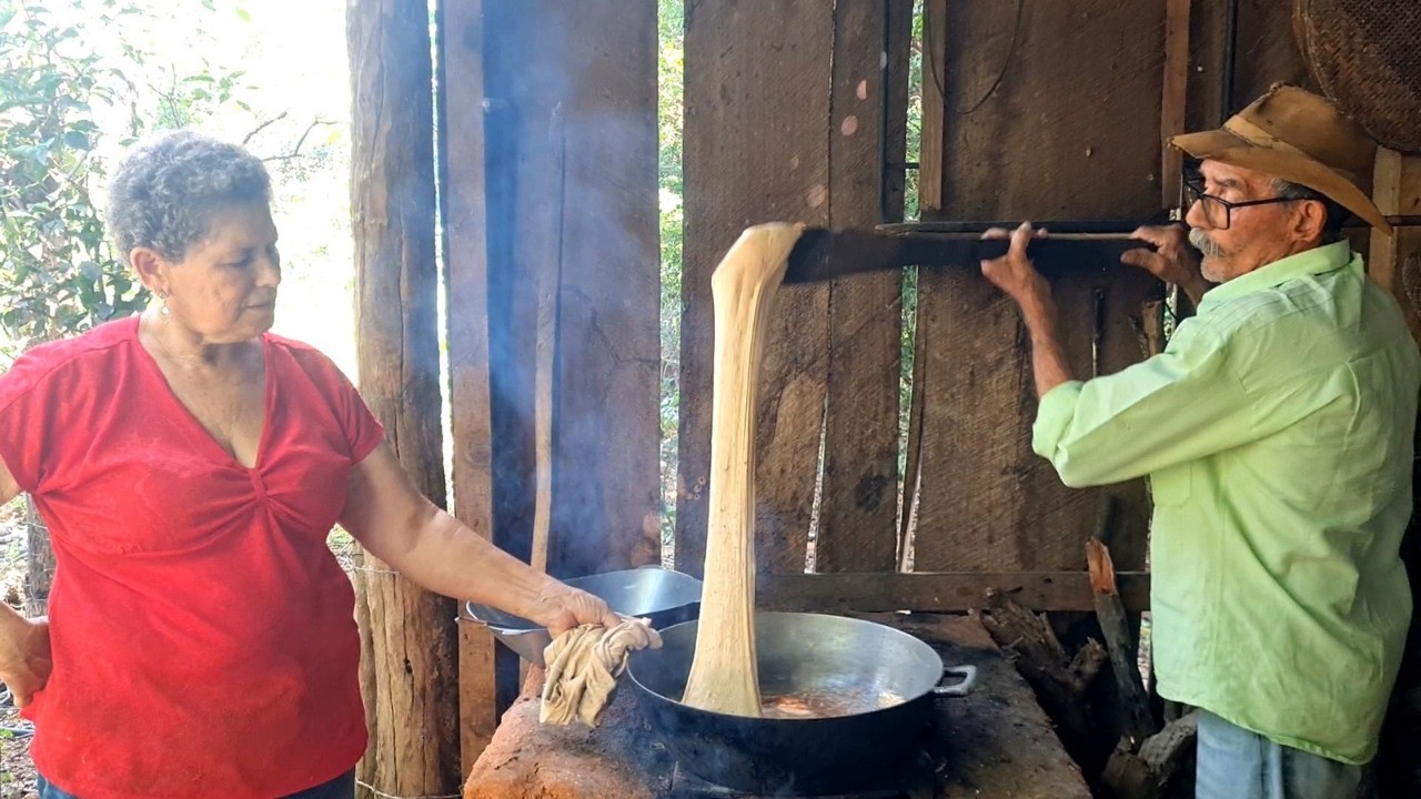 TODO NOSSO ALIMENTO SAI AQUI DA TERRA