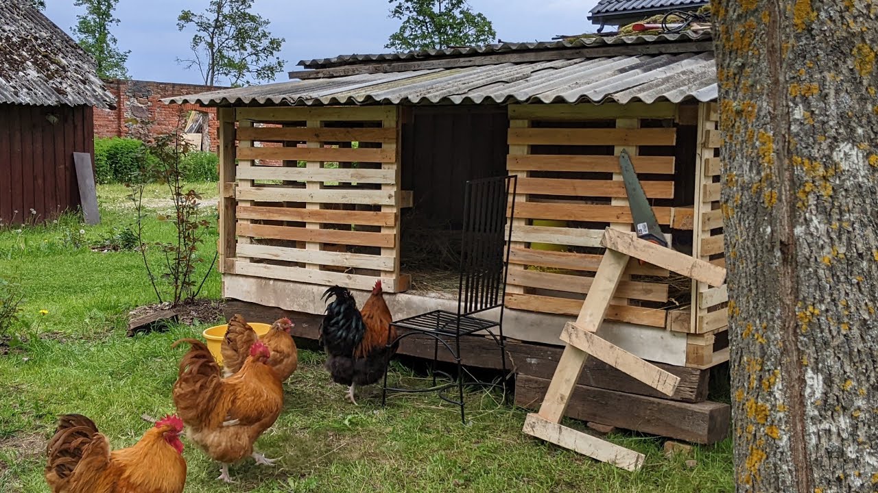 Temporary chicken house from pallets. Временный курятник из поддонов