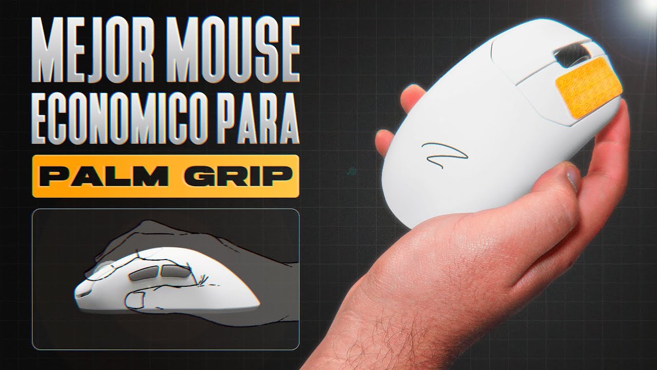El mejor Mouse Palm Grip Econ&oacute;mico | Zaopin ZPW Review