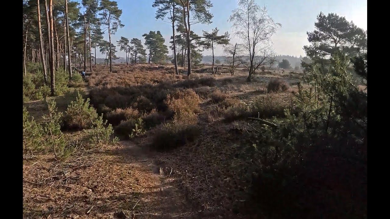Mountainbike TT Wechelderzande 2026 Jubileumeditie.