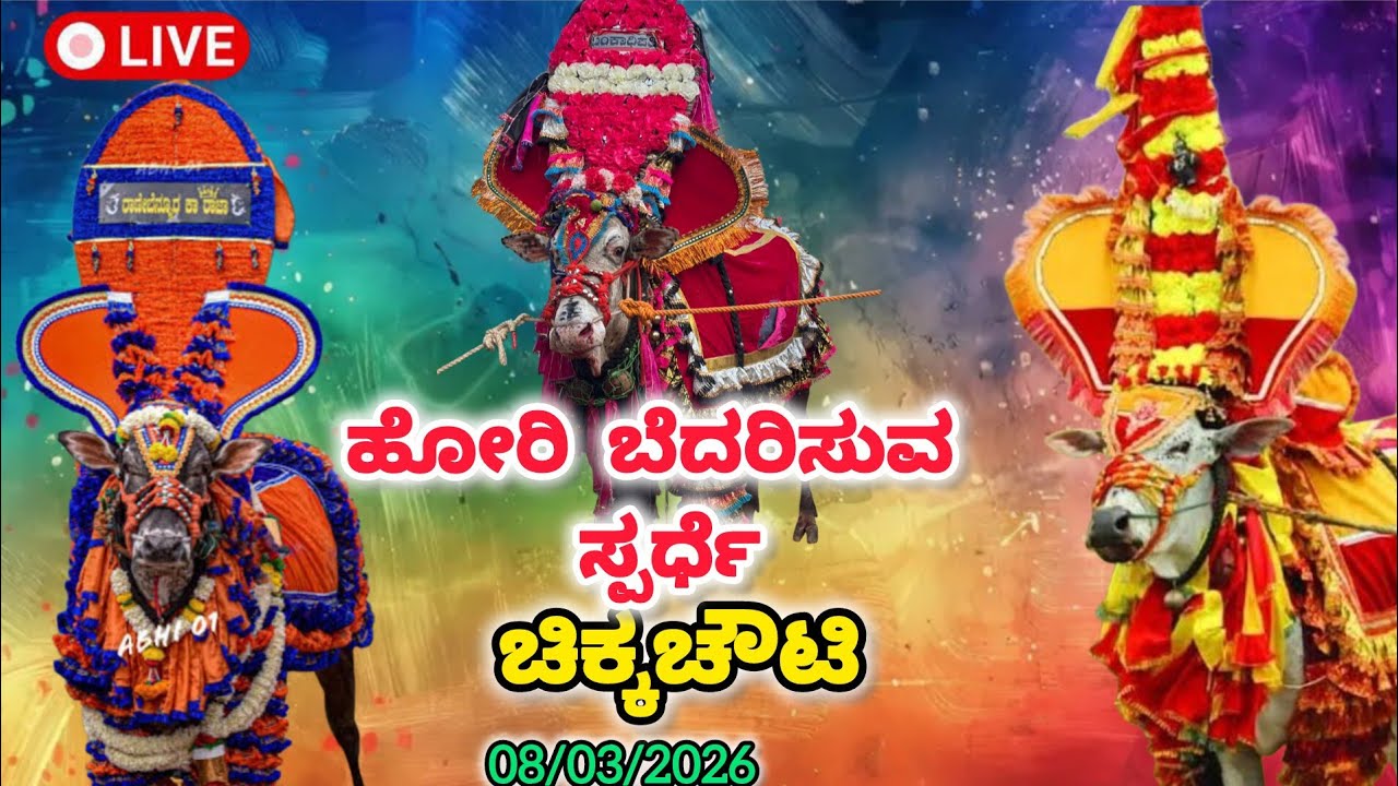 ಚಿಕ್ಕಚೌಟಿ ಹೋರಿ ಹಬ್ಬ Live‼️||𝗖𝗵𝗶𝗸𝗸𝗮𝗰𝗵𝗼𝘂𝘁𝗶 𝗛𝗼𝗿𝗶 𝗛𝗮𝗯𝗯𝗮 𝗟𝗶𝘃𝗲||𝗛𝗼𝗿𝗶 𝗛𝗮𝗯𝗯𝗮 𝗟𝗶𝘃𝗲