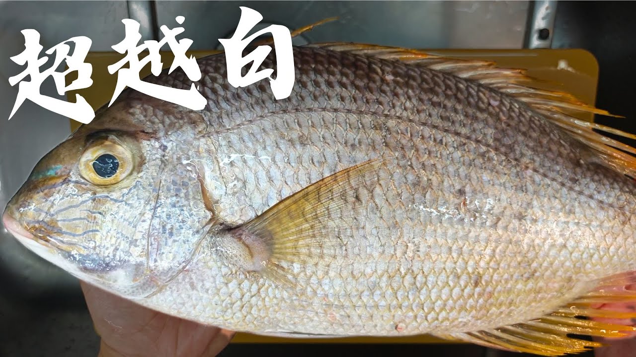 【此生必吃】沒想到白嘉鱲這麼好吃 做個韓式水拌生魚片물회