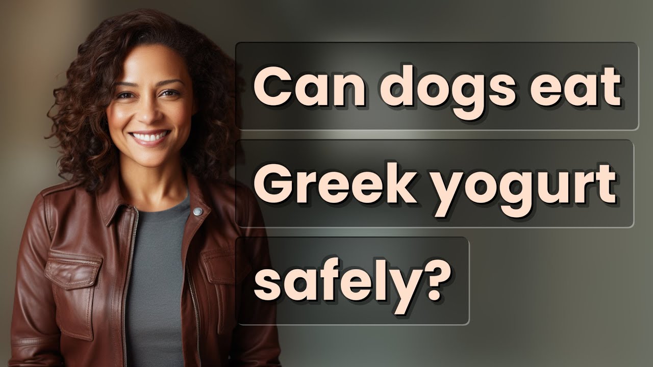 Can dogs eat Greek yogurt safely?