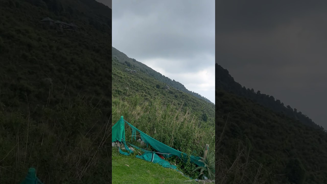 Triund base camp ⛺️ 