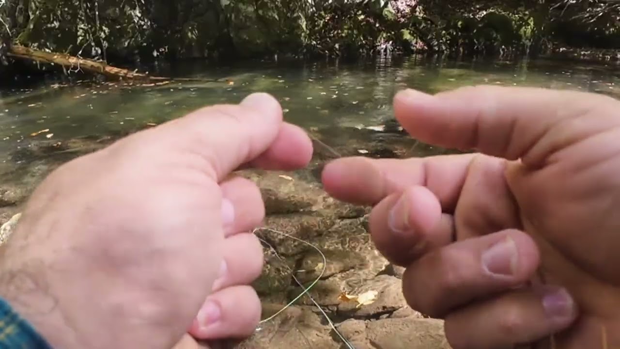 Fishing for wild trout in North Carolina 
