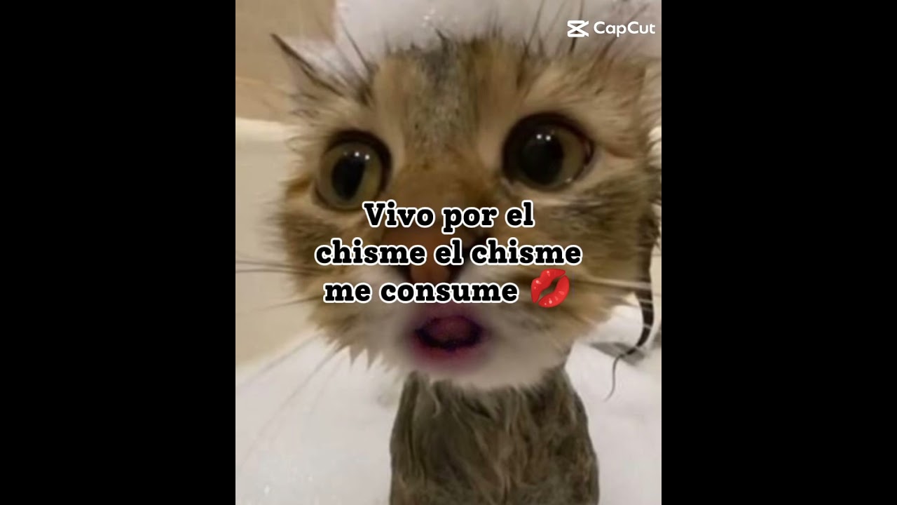 Cisme