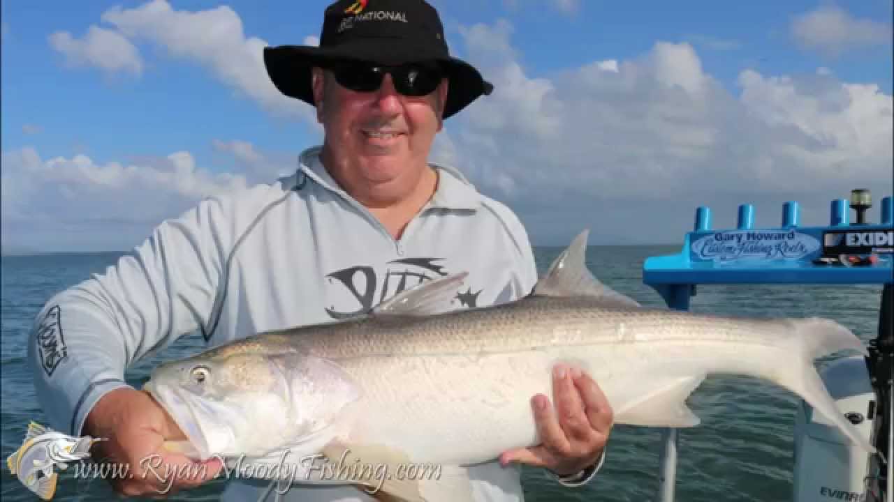 Fish Frames Boxy's Hinchinbrook Threadfin Fishing Trip