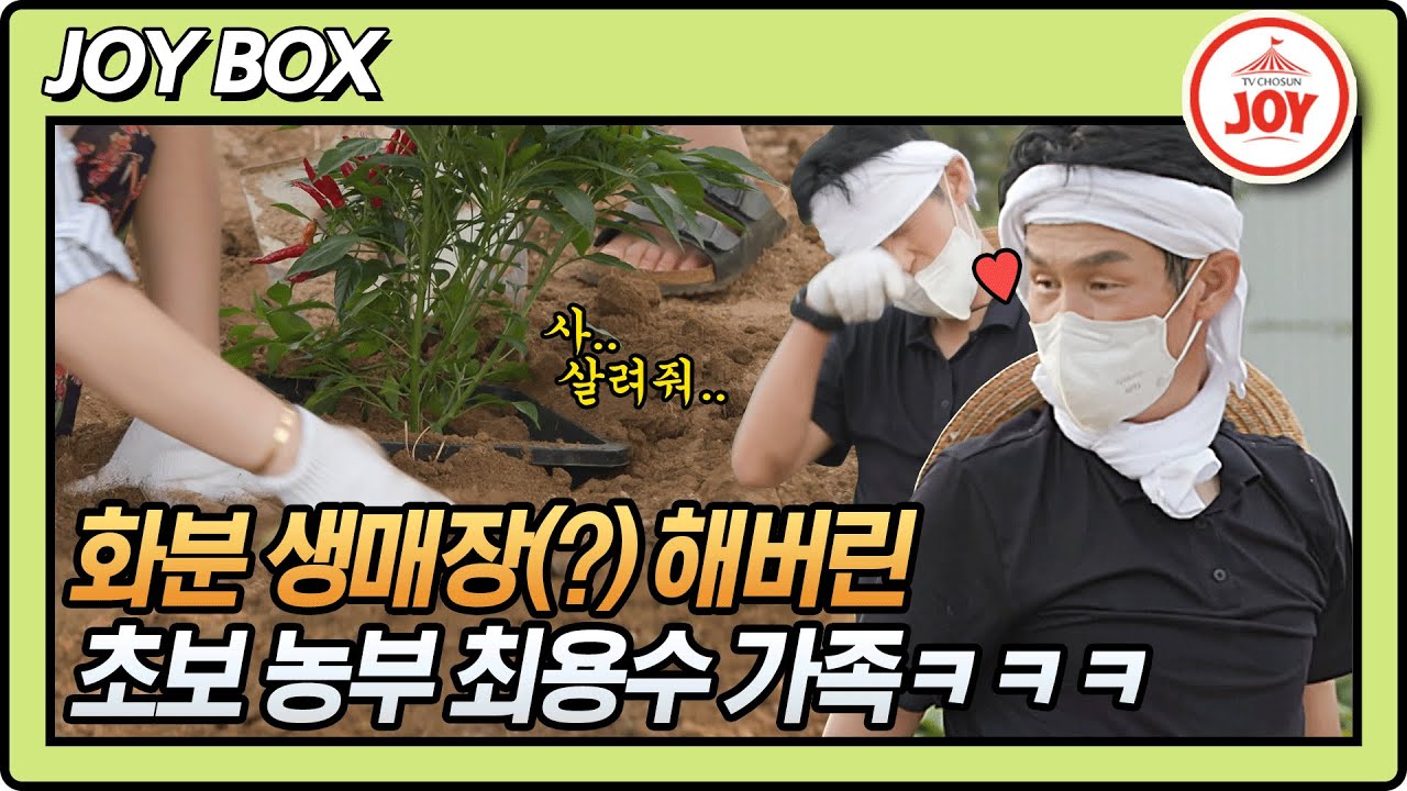 [JOY BOX] 화분 생매장(?) 성공?! 최용수 가족 주말 농장에서 정성스럽게 화분 생매장(?)한 사연ㅋㅋㅋ #와카남 #TV조선조이 (TV CHOSUN 210907 방송)