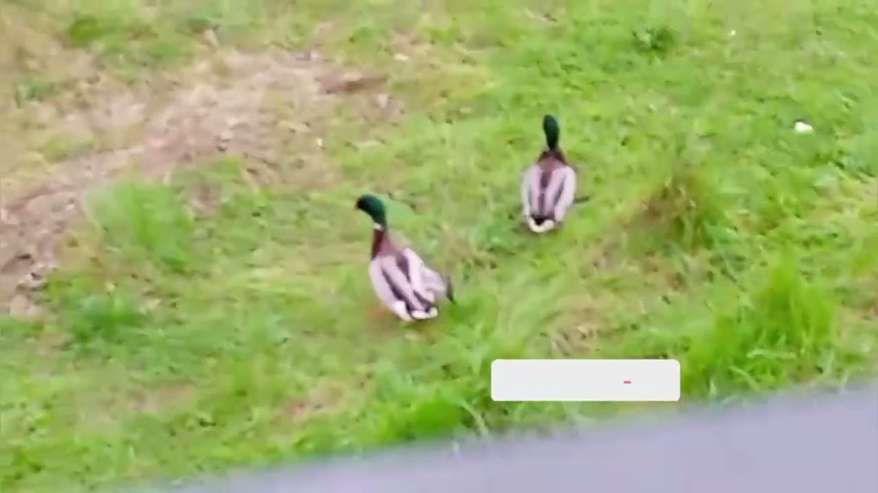 Melquiades nos comparte bonito recorrido en la ciudad de Pamplona barrio la rochapea