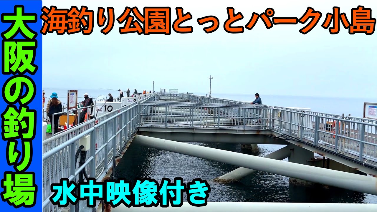 海釣り公園とっとパーク小島の釣り場を紹介！海中映像でポイントを確認