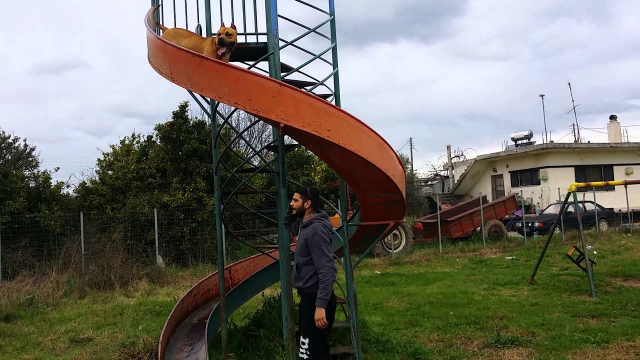Pitboull love  spiral slide.pitboull σε τσουλήθρα