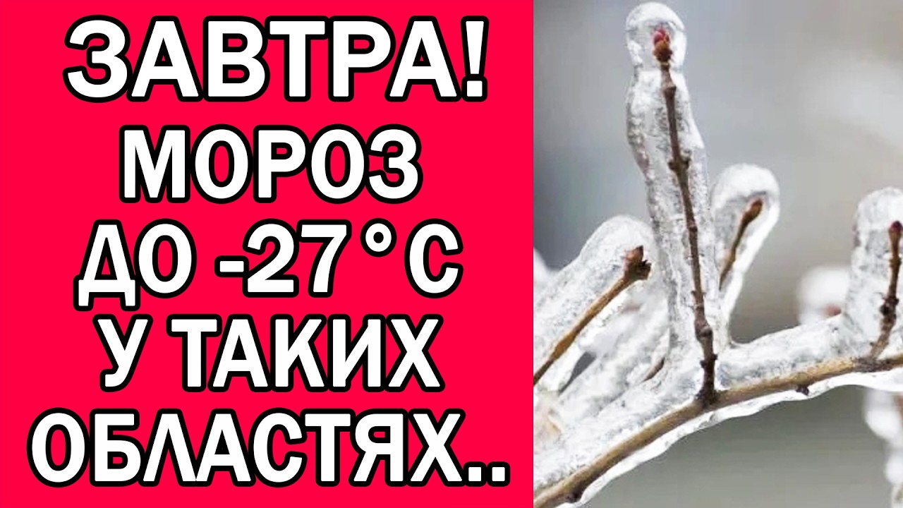 ПОГОДА НА ЗАВТРА 6 ЛЮТОГО 2026 : ПОГОДА НА ЗАВТРА В УКРАЇНІ