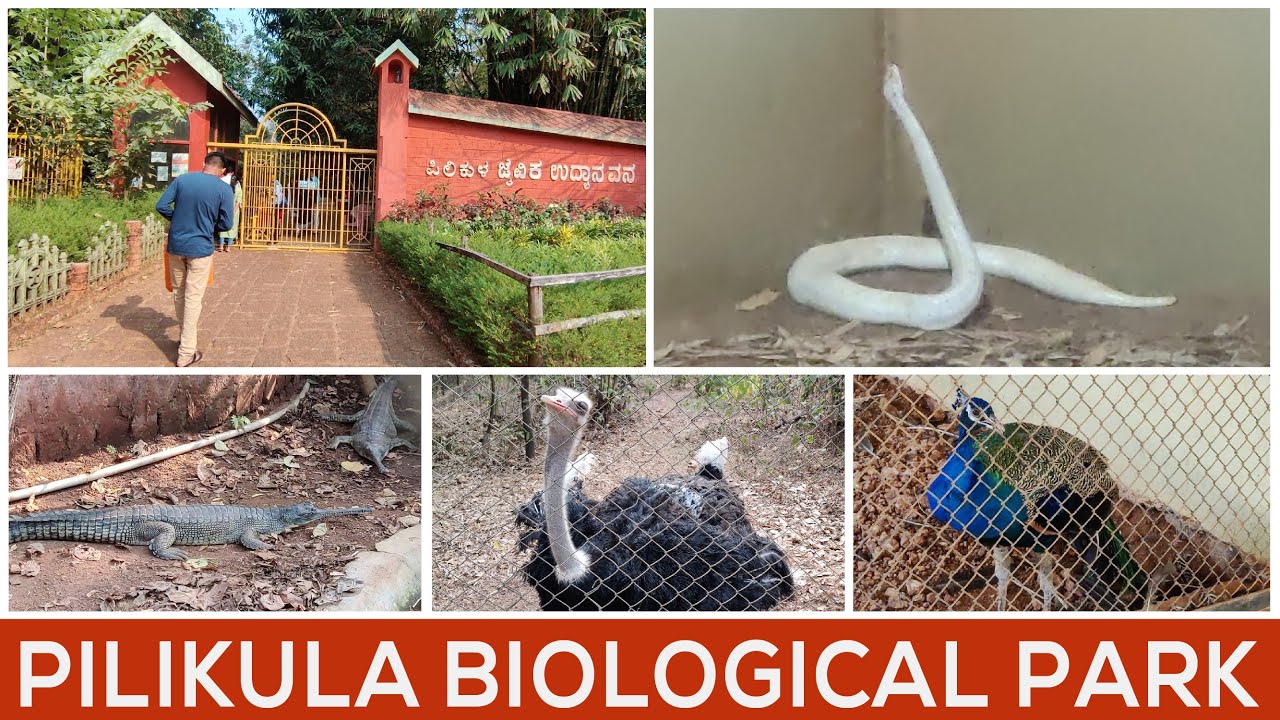 Pilikula Biological Park Mangalore | Best place to visit in Mangalore | Tour of Pilikula Zoo
