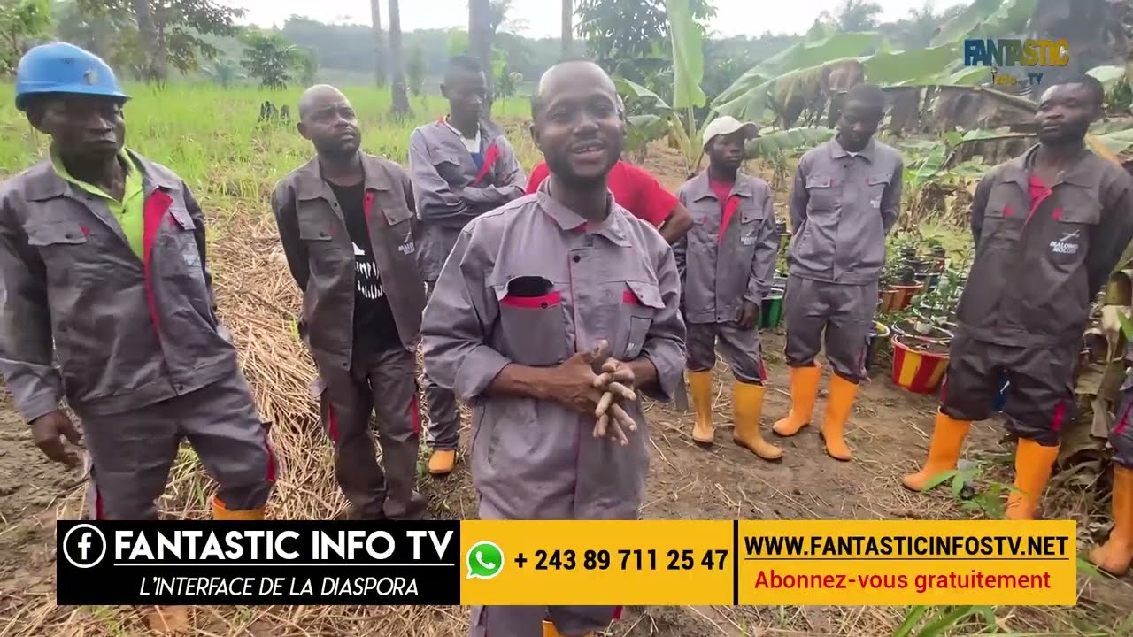 J'ai 46 hectares avec 5000 safoutiers au Kongo central Paty Malongo l'exemple à suivre