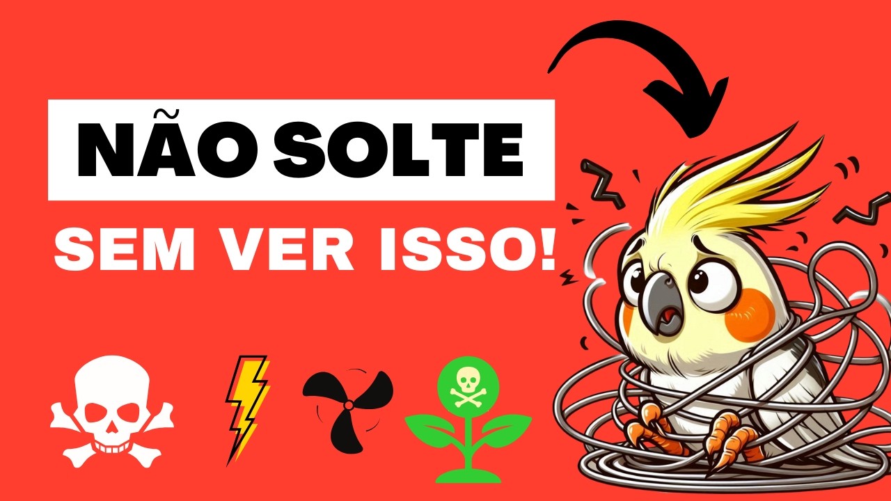 Voc&ecirc; Solta Sua Calopsita em Casa? Cuidado com Isso!