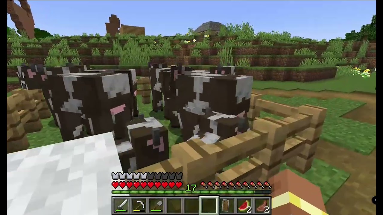 look closer (minecraft)