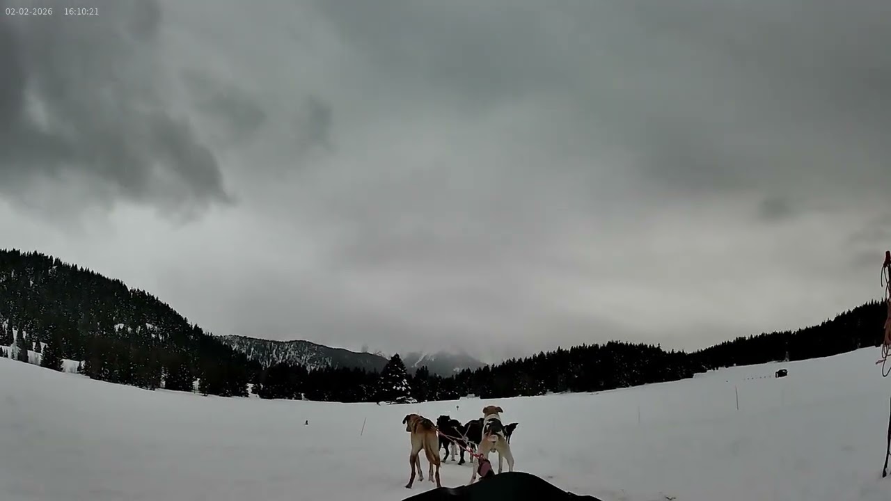 Mushing Chamrousse