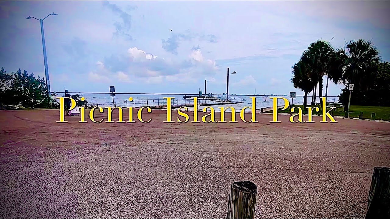 BEST New Fishing Spot in Tampa Bay, Florida