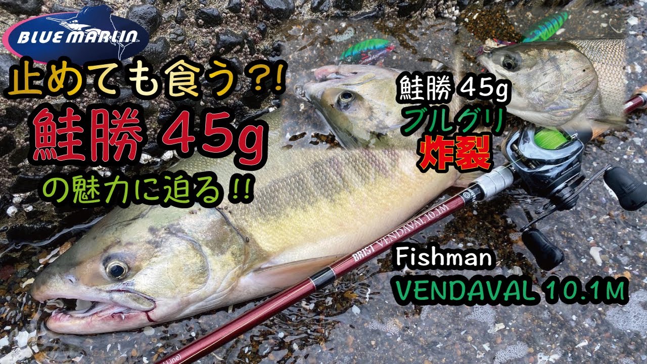 止めても食う鮭勝45g?!【Fishman VENDAVAL10.1M】【道東 オホーツク海 ウキルアー サケ釣り】