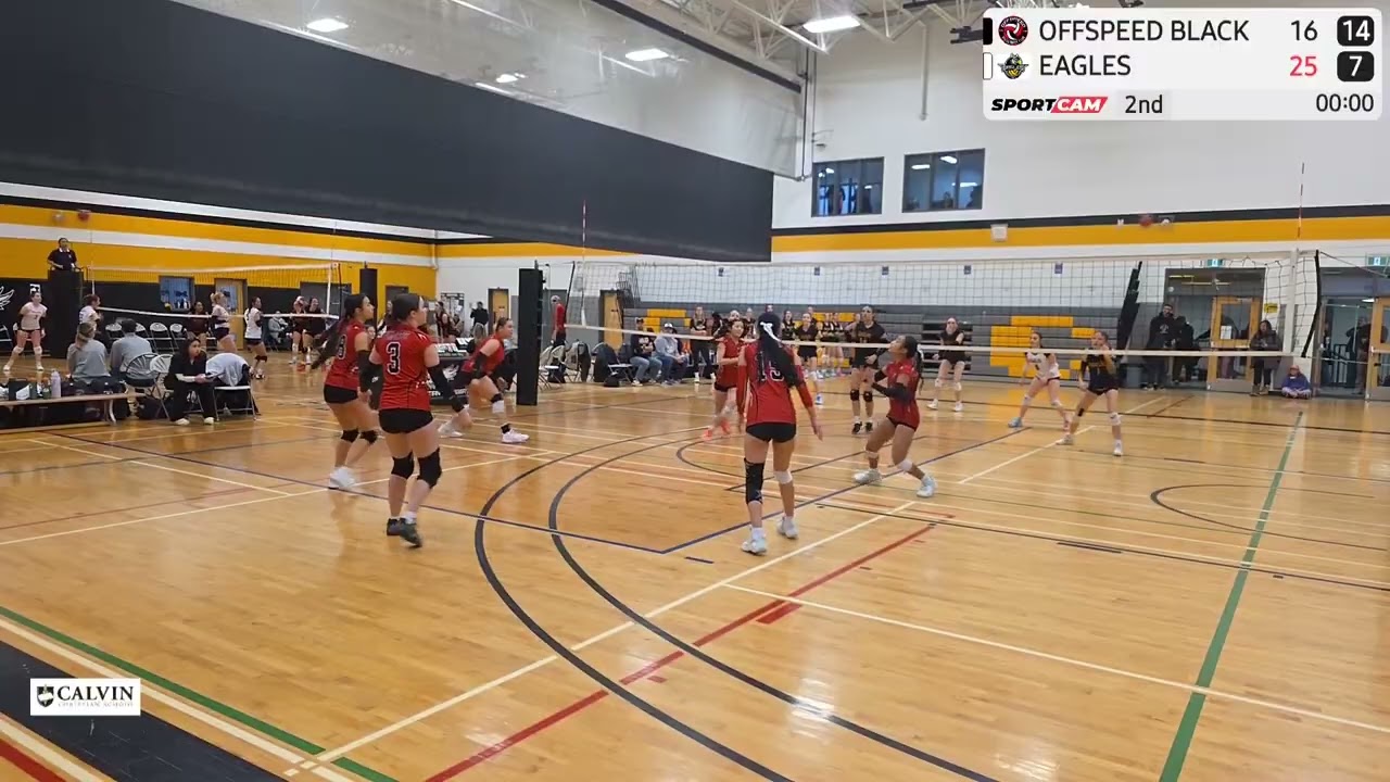Set 2 HIGHLIGHTS