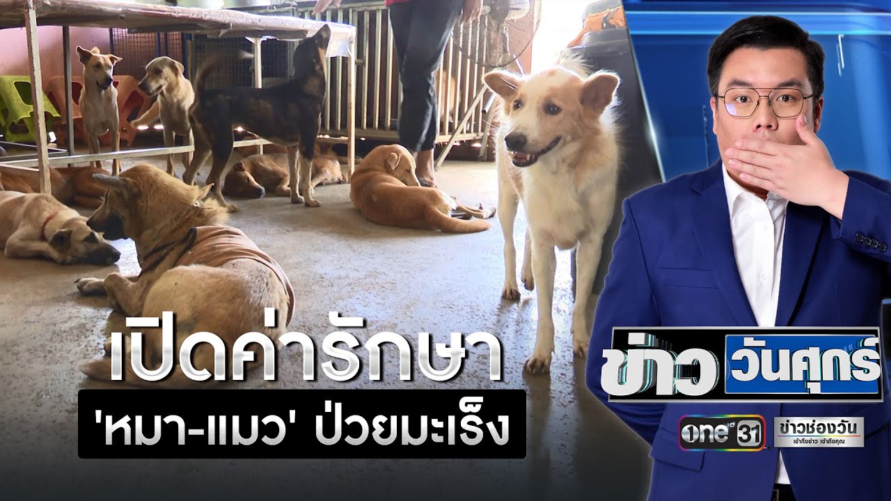 เปิดค่ารักษา 