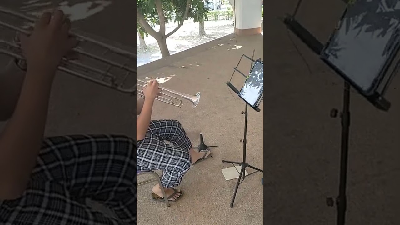 why don't you do right for trumpet, Mi-re trumpet 🎺 player